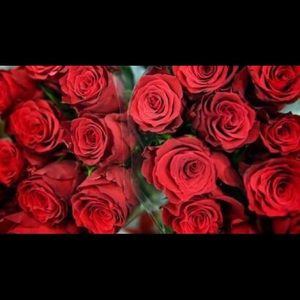 Meet your Posher, Fernanda